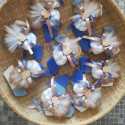 IMG-20210428-WA0009