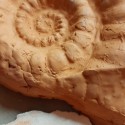 thumbnail_20210210_175840