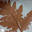thumbnail_20220502_091522