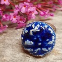 1anello1