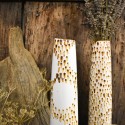 1_thumbnail_DSC_8801