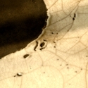 eclisseparticolare